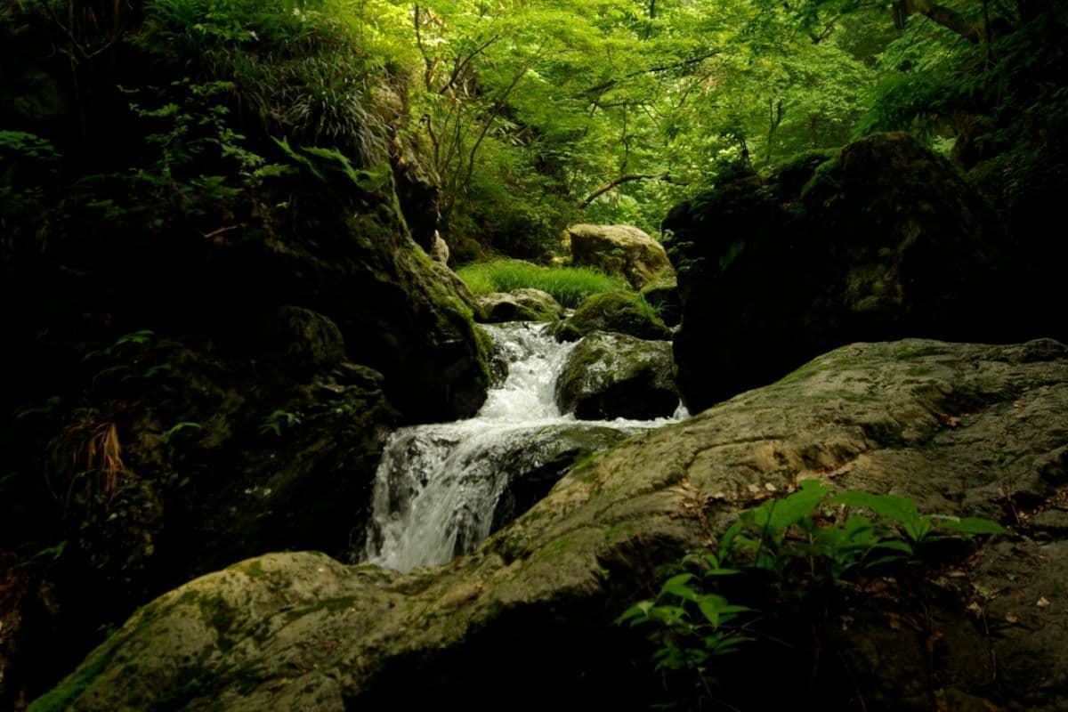 レンタルの流れ（ご返却）