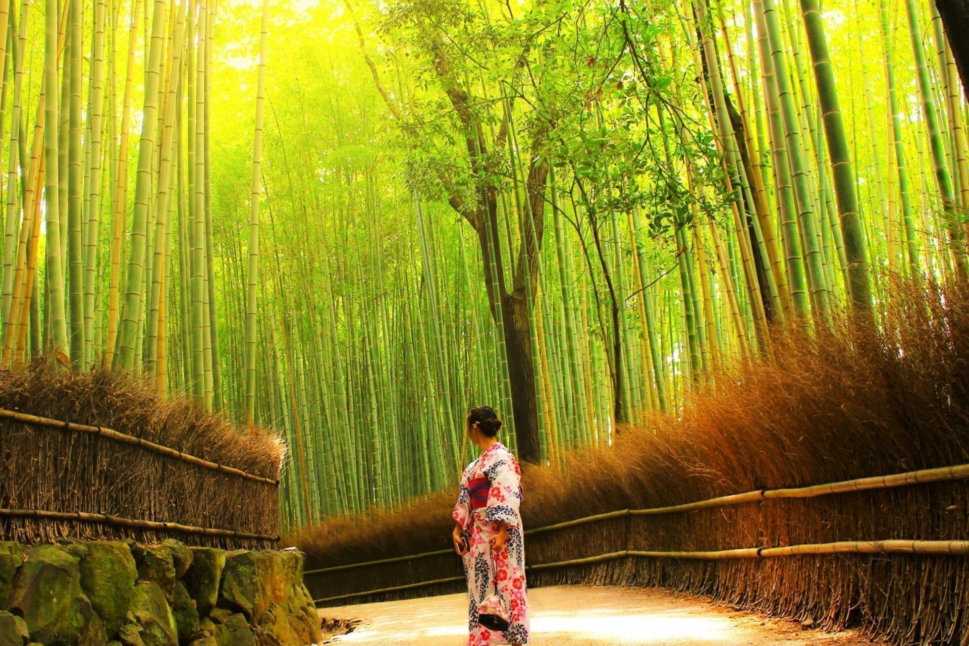 京都西陣よそほひ処紫水庵　嵐山